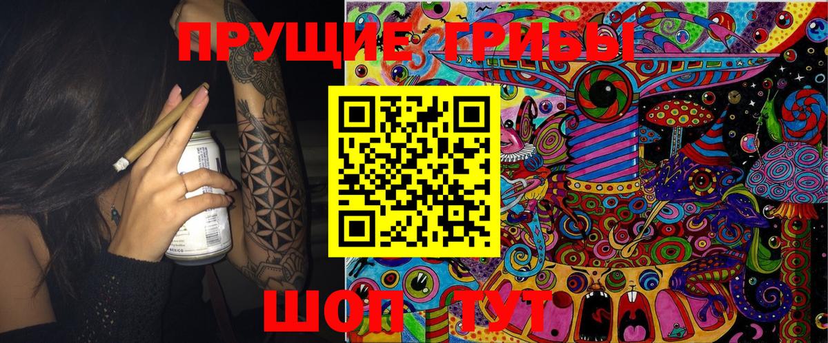 Псилоцибиновые грибы GOLDEN TEACHER  Вход с VPN  Псилоцибиновые грибы Cubensis  Лыткарино 